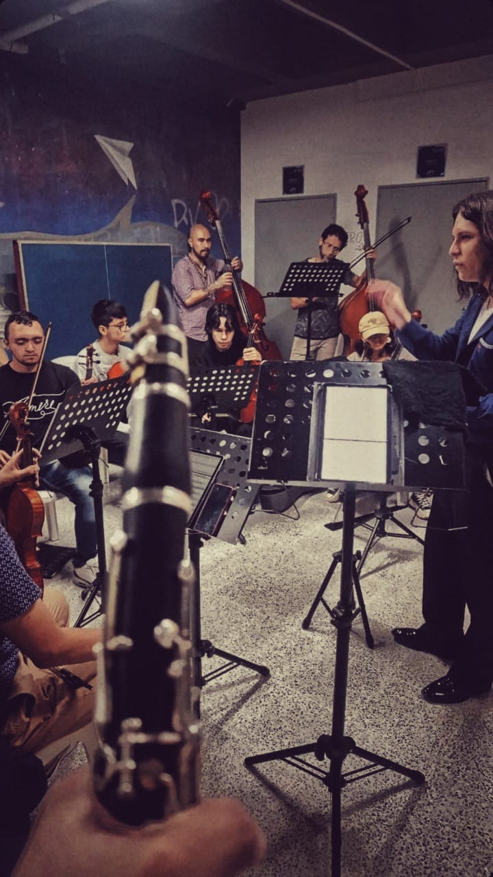 Sección de cuerdas de la Camerata Matecaña